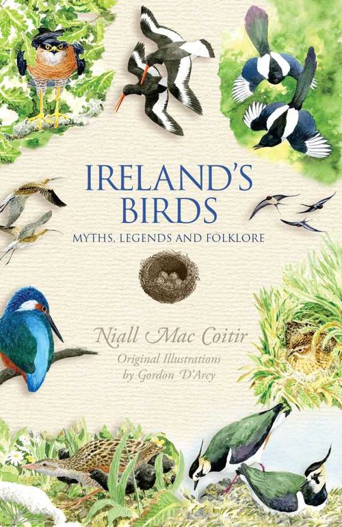 Irelands Birds