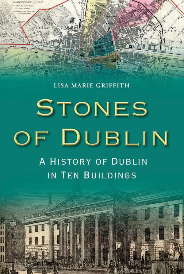 bw-stones-of-dublin-the-collins-press-9781848898721