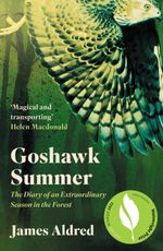 bw-goshawk-summer-elliott-thompson-9781783966134