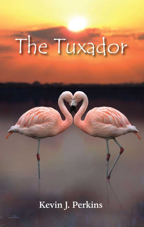 bw-the-tuxador-grosvenor-house-publishing-9781781481684