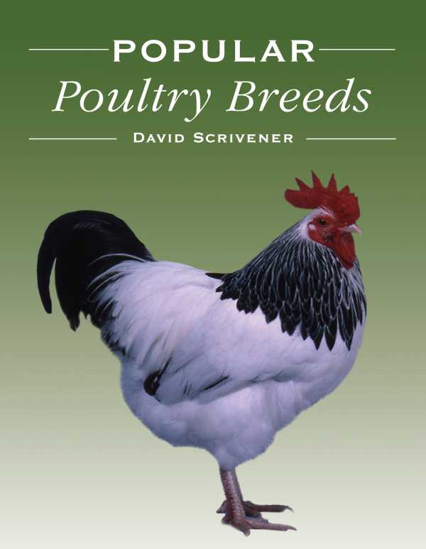 bw-popular-poultry-breeds-crowood-9781847979711