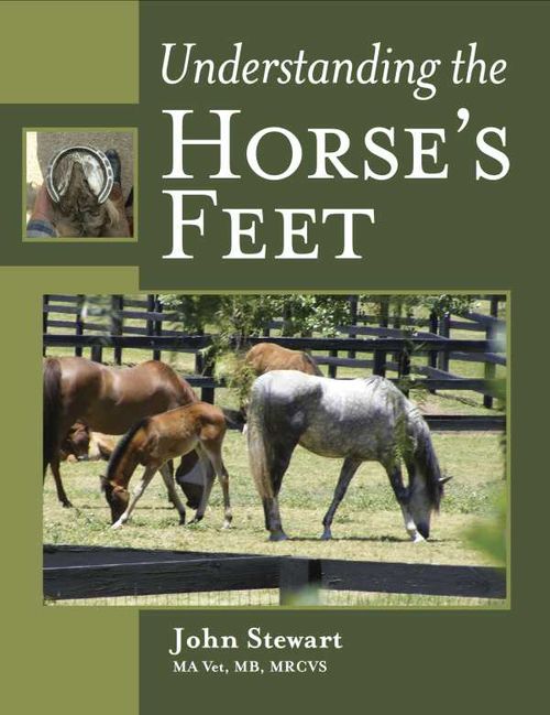 Understanding the Horses Feet
