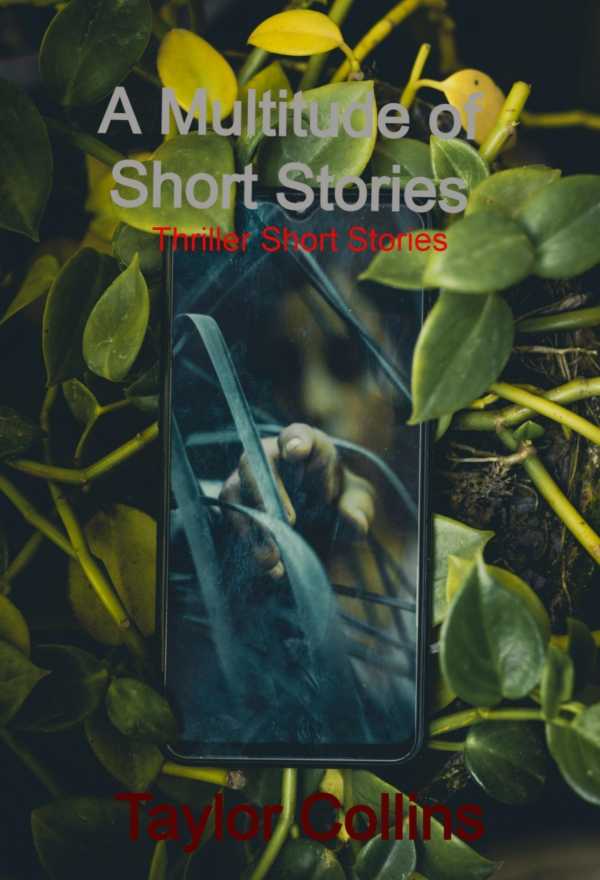bw-a-multitude-of-short-stories-bookrix-9783748760368