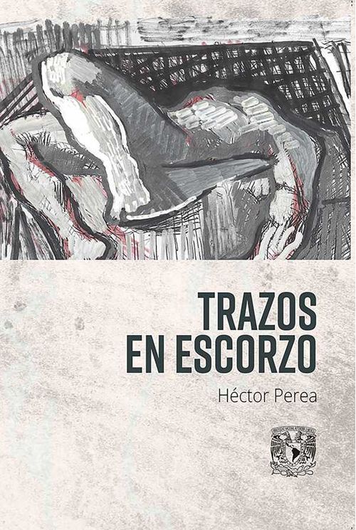 Trazo en escorzo