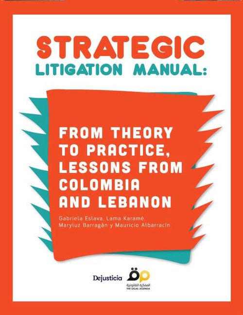 Strategic Litigation Manual