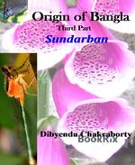 bw-origin-of-bangla-third-part-sundarban-bookrix-9783748755753