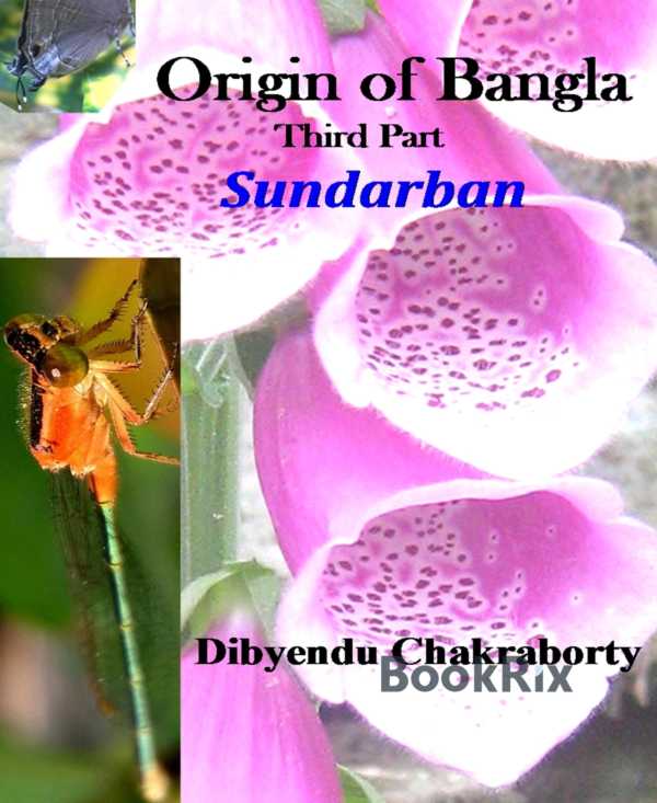 bw-origin-of-bangla-third-part-sundarban-bookrix-9783748755753