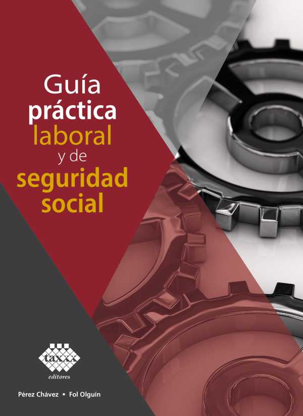 bw-guiacutea-praacutectica-laboral-y-de-seguridad-social-2019-tax-editores-9786076293348