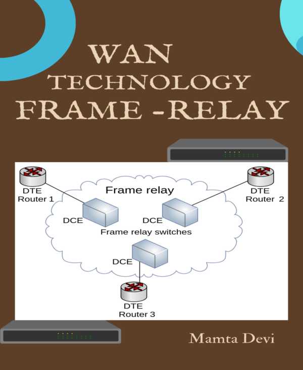 bw-wan-technology-framerelay-bookrix-9783755456179