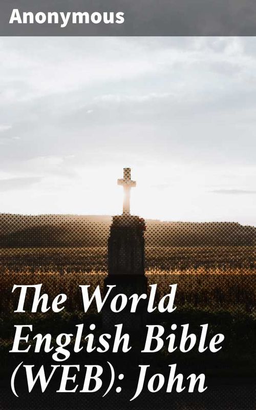 The World English Bible WEB John