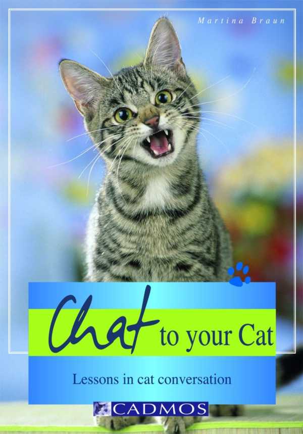 bw-chat-to-your-cat-cadmos-publishing-9780857886569