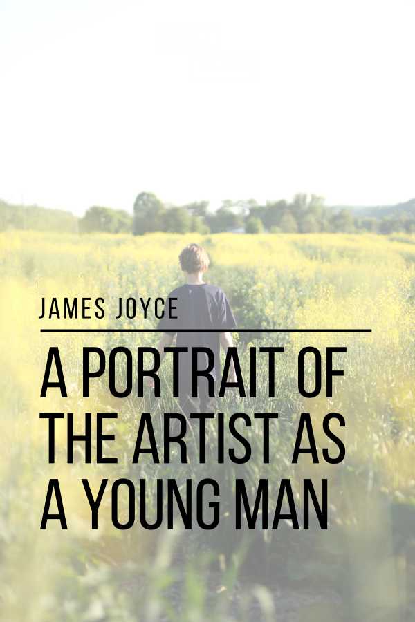 bw-a-portrait-of-the-artist-as-a-young-man-sheba-blake-publishing-9781387268566