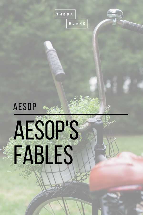 bw-aesops-fables-sheba-blake-publishing-9781387268863