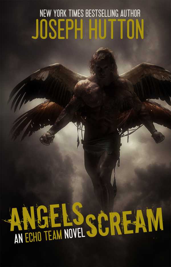bw-angels-scream-harbinger-books-9781520866536