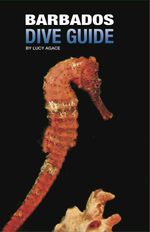 bw-barbados-dive-guide-dolman-scott-publishing-9781909204843