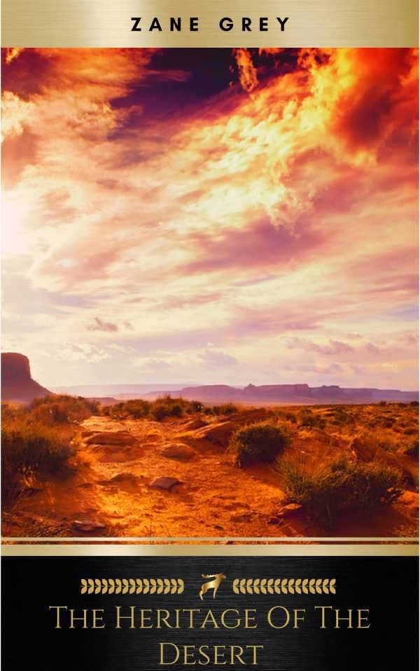 bw-the-heritage-of-the-desert-a-novel-ja-9782291026891