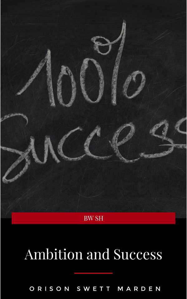bw-ambition-and-success-lba-9782291059295