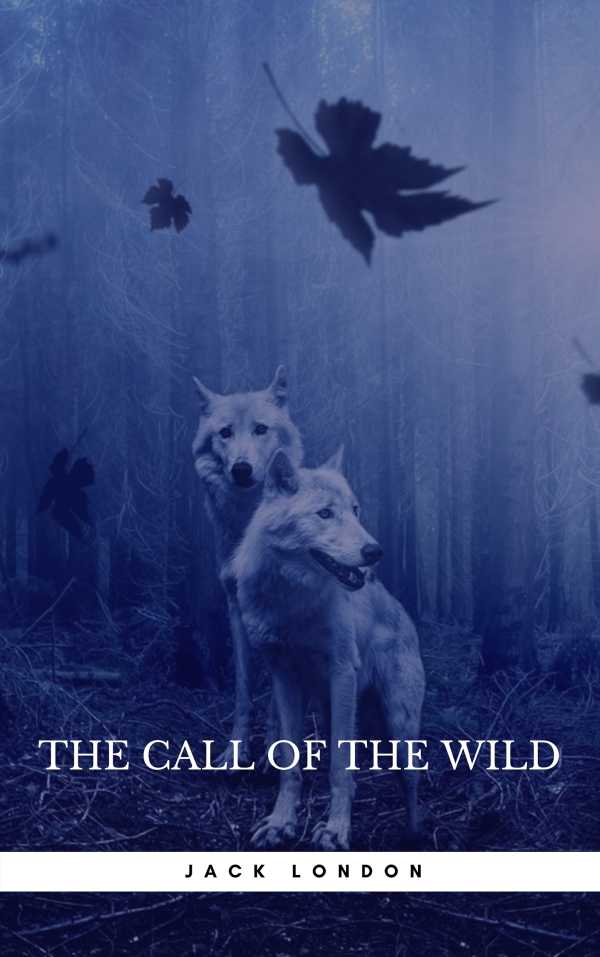 bw-the-call-of-the-wild-ab-books-9782291059868