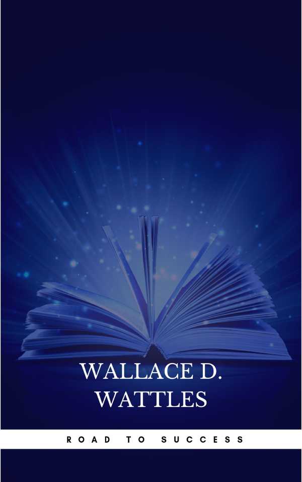 bw-road-to-success-the-classic-guide-for-prosperity-and-happiness-ws-9782291074007