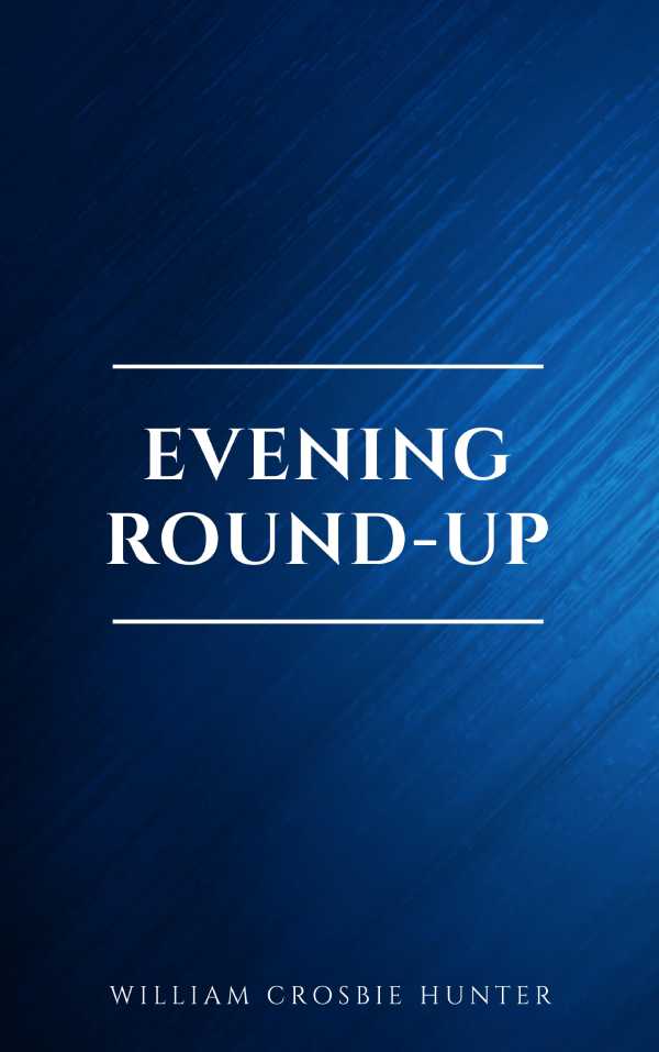 bw-evening-roundup-page2page-9782291075691