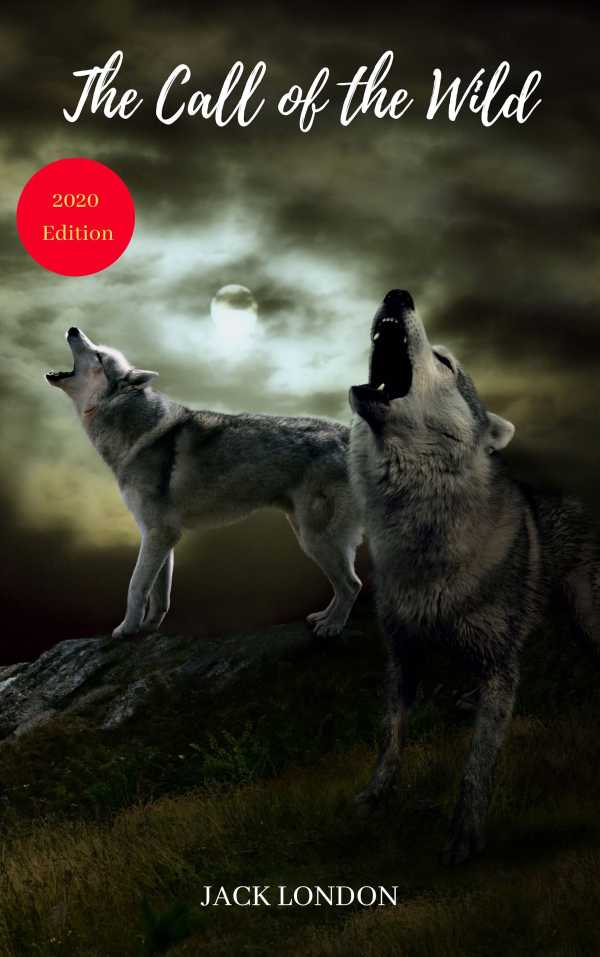 bw-the-call-of-the-wild-wisehouse-classics-with-original-illustrations-arthur-wallens-9782291081685