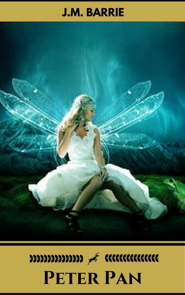 bw-peter-pan-oregan-publishing-9782377875481
