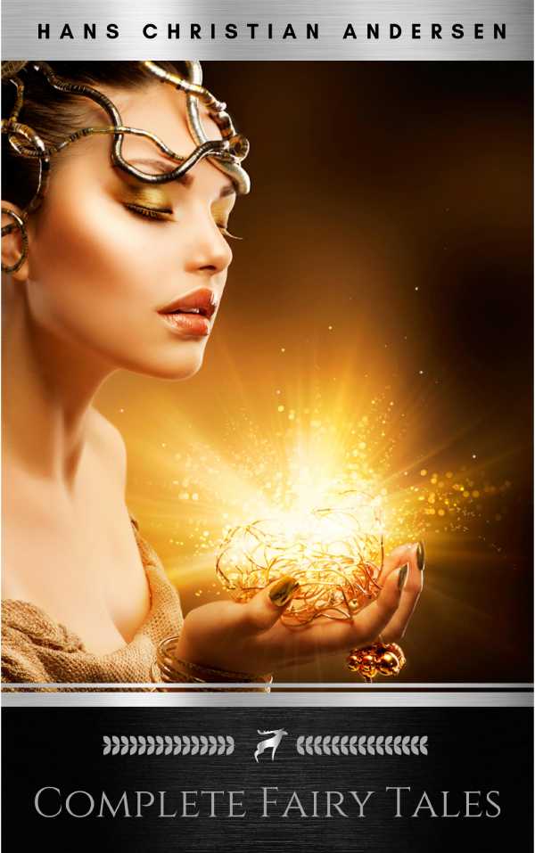 bw-fairy-tales-of-hans-christian-andersen-ws-9782377876648