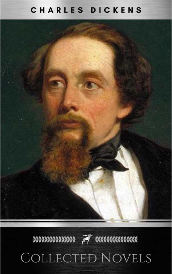 bw-the-16-greatest-charles-dickens-novels-ws-9782377876693