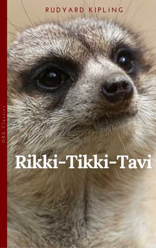RikkiTikkiTavi