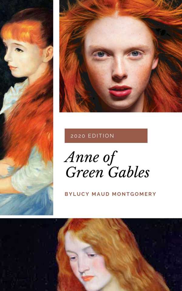bw-anne-of-green-gables-anne-shirley-series-1-cded-9782377932757