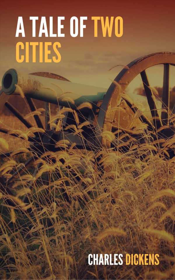 bw-a-tale-of-two-cities-large-print-edition-lba-9782377933877