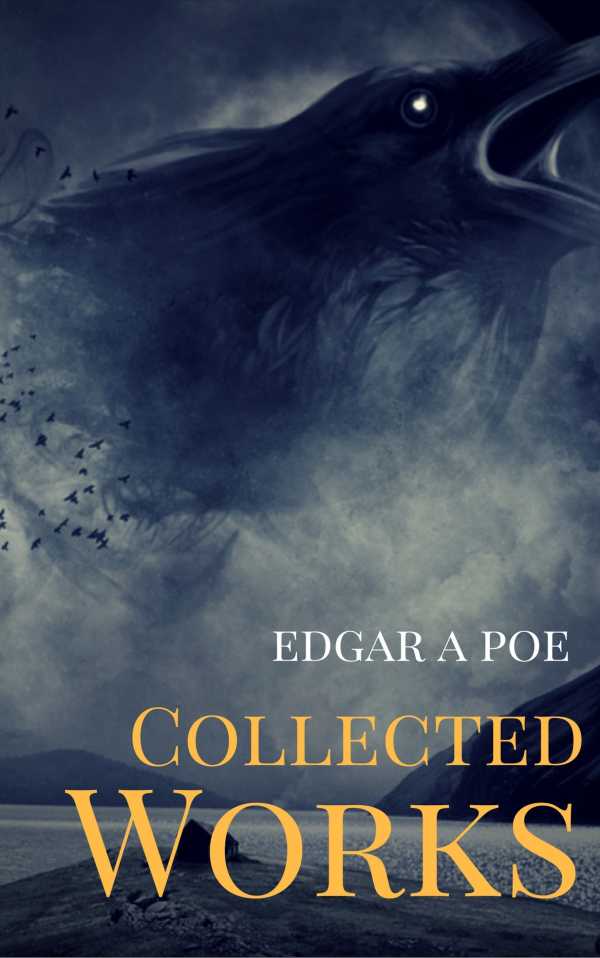 bw-the-best-of-poe-the-telltale-heart-the-raven-the-cask-of-amontillado-and-30-others-lmab-9782377933938