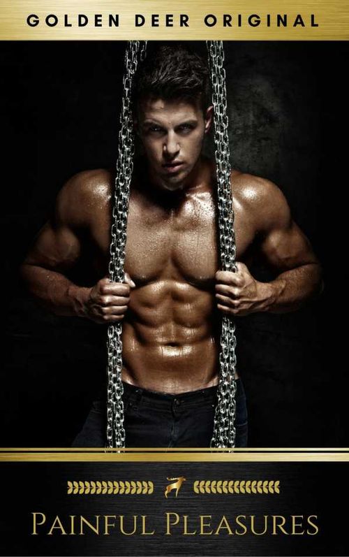 Painful Pleasures A First Time Novel Golden Deer Original