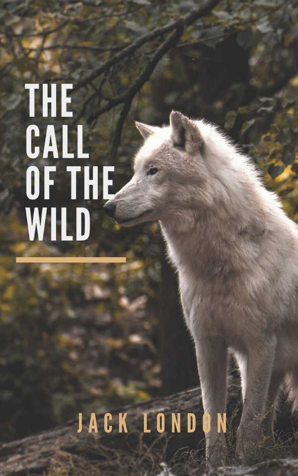 bw-the-call-of-the-wild-knowledge-house-9782380371710