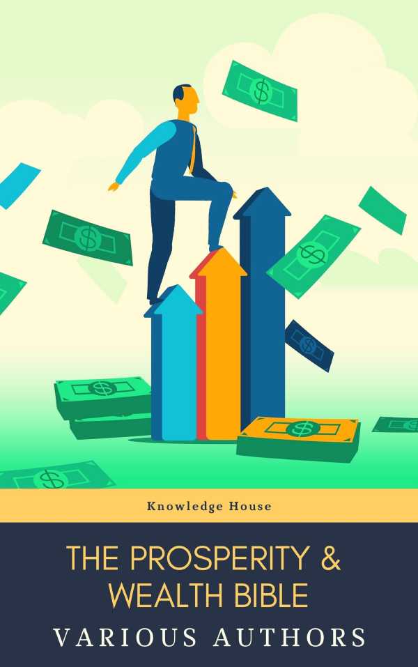 bw-the-prosperity-amp-wealth-bible-knowledge-house-9782380372380