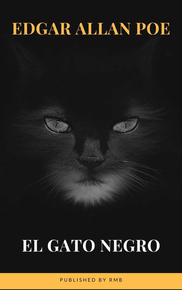 bw-el-gato-negro-rmb-9782380373066