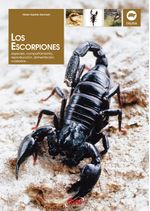 lib-los-escorpiones-parkstone-international-9781644617007