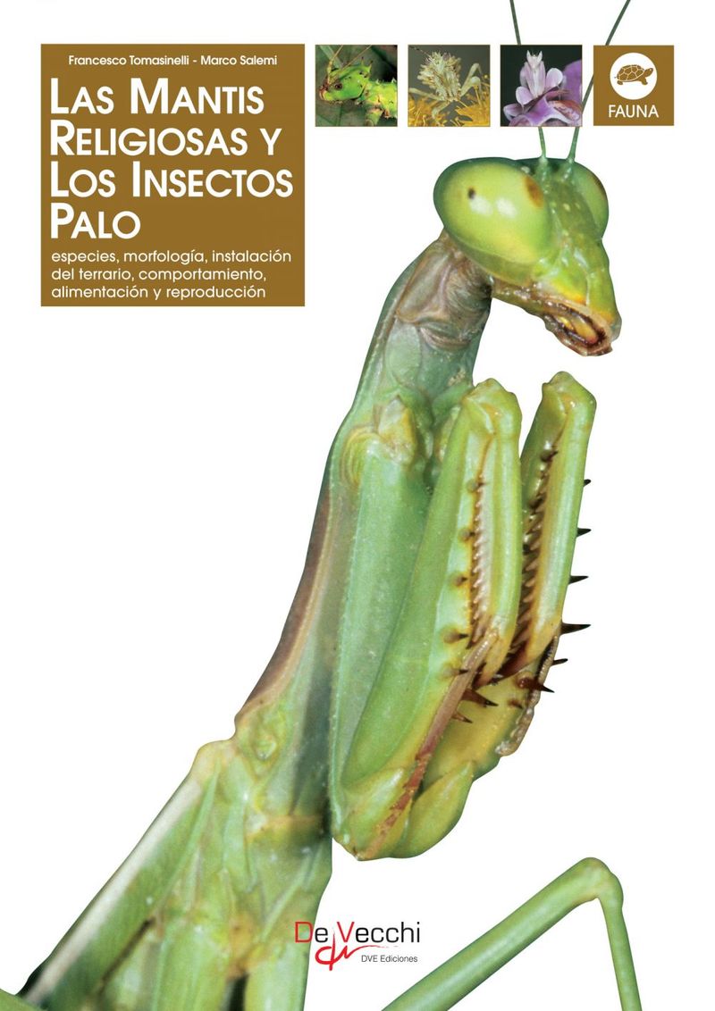 lib-la-mantis-religiosa-y-los-insectos-palo-parkstone-international-9781646998067