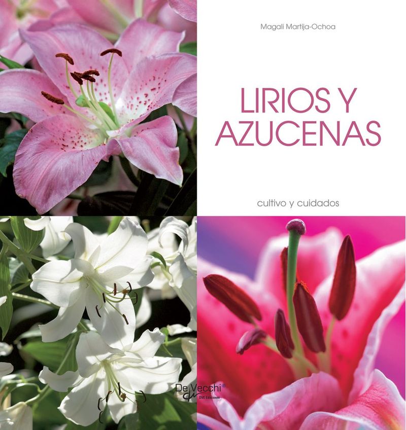 lib-lirios-y-azucenas-cultivo-y-cuidados-parkstone-international-9781646998876