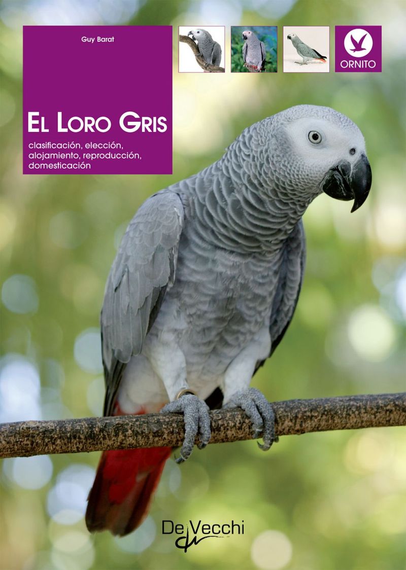 lib-el-loro-gris-parkstone-international-9781646999903