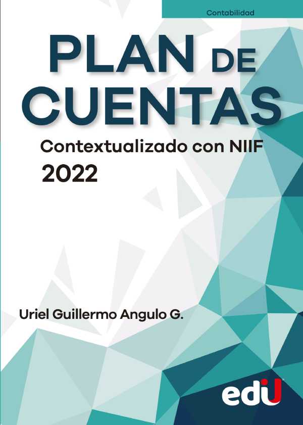 Plan De Cuentas Contextualizado Con NIIF 2022 Ebook | Uriel Angulo ...