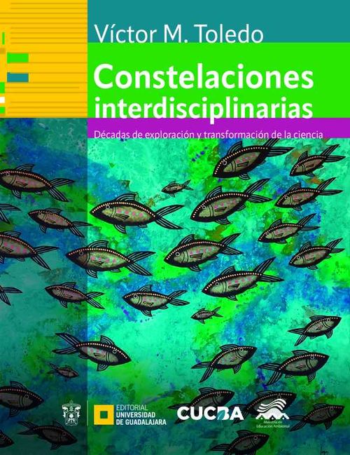 Constelaciones interdisciplinarias