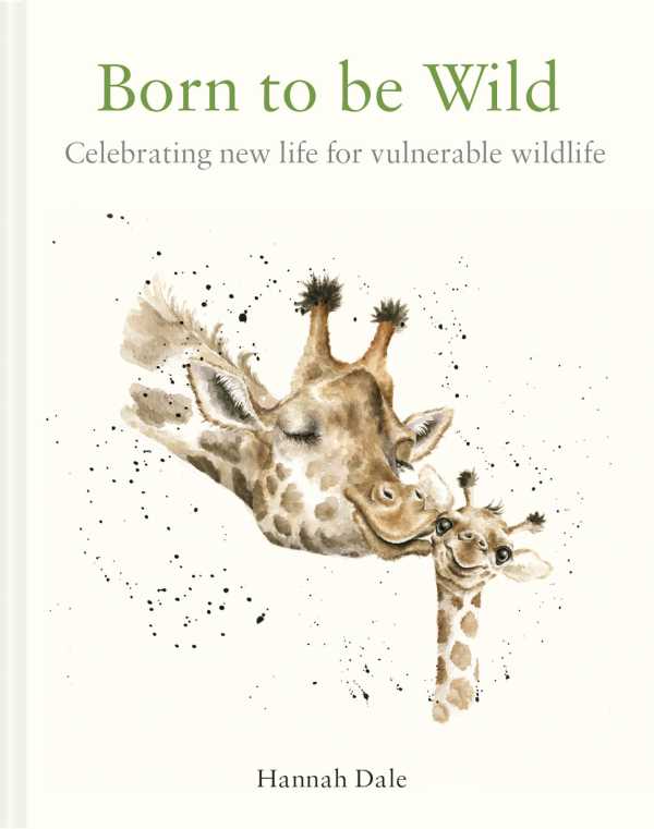 bw-born-to-be-wild-batsford-9781849947084