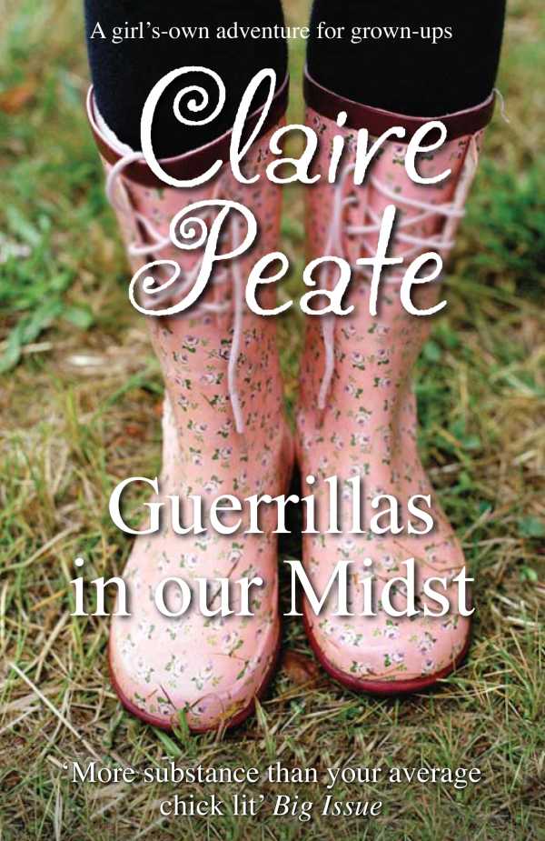bw-guerillas-in-our-midst-honno-press-9781906784614