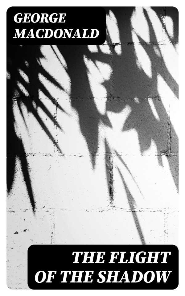 bw-the-flight-of-the-shadow-digicat-8596547179429