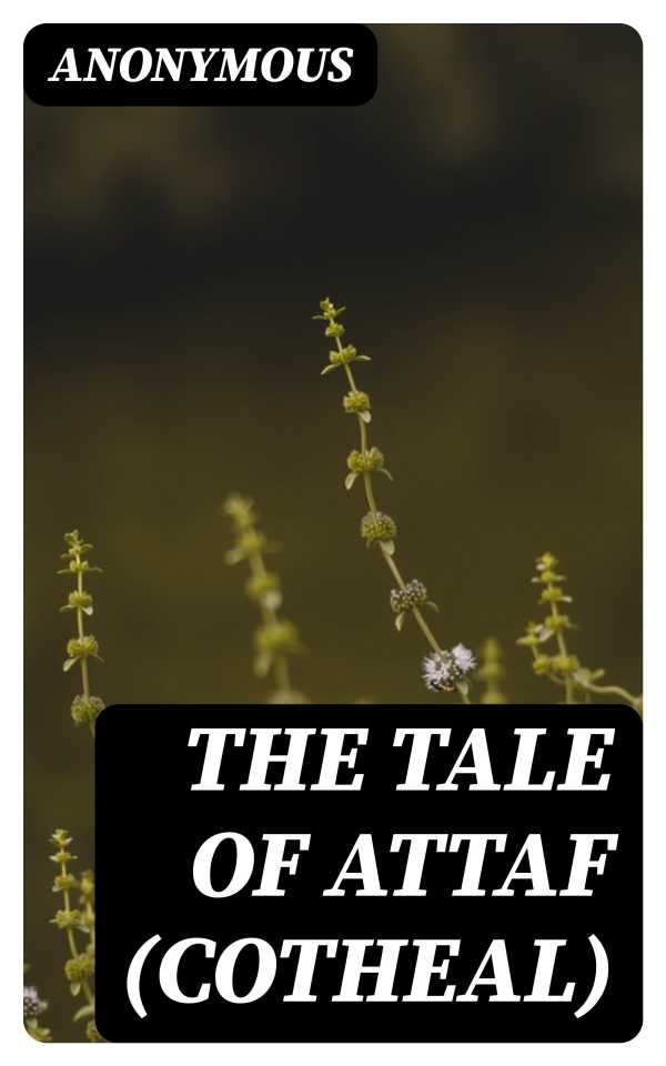 bw-the-tale-of-attaf-cotheal-digicat-8596547164852
