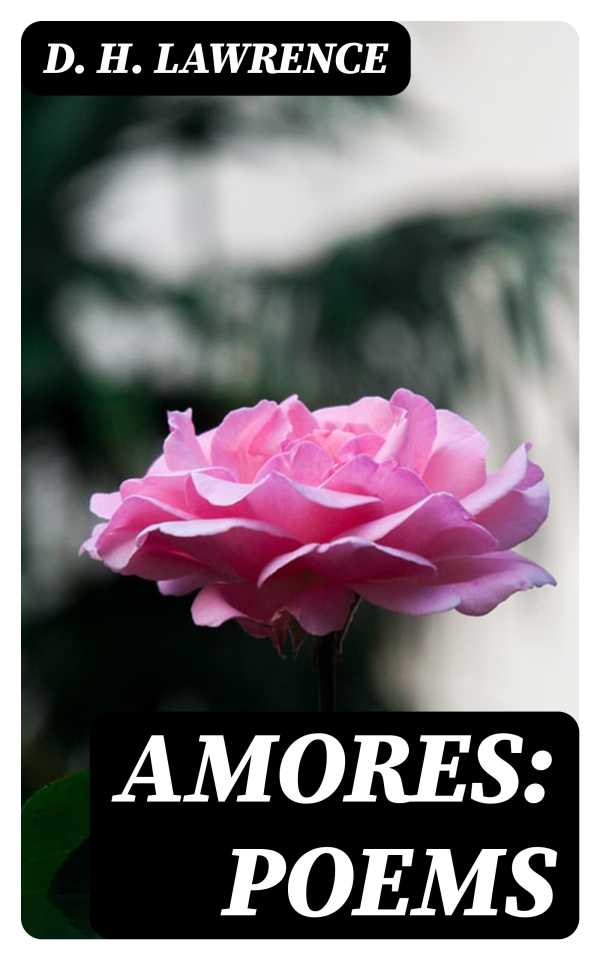 bw-amores-poems-digicat-8596547169987