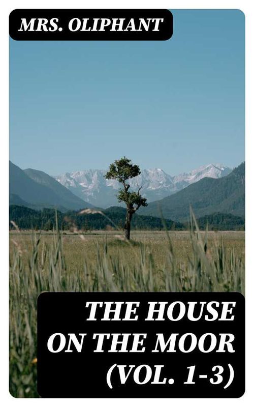 The House on the Moor Vol 13