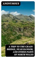 bw-a-trip-to-the-chainbridge-near-bangor-and-other-parts-of-north-wales-digicat-8596547207009