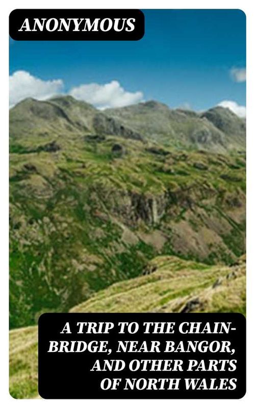 A Trip to the ChainBridge Near Bangor and Other Parts of North Wales